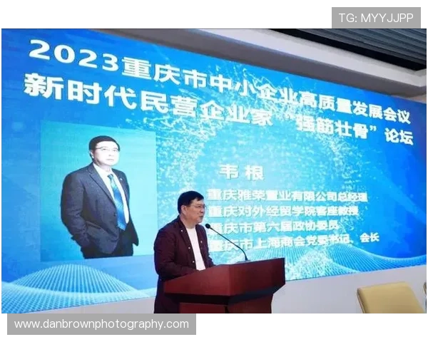 新时代背景下优秀民营企业家引领高质量发展与创新驱动研究